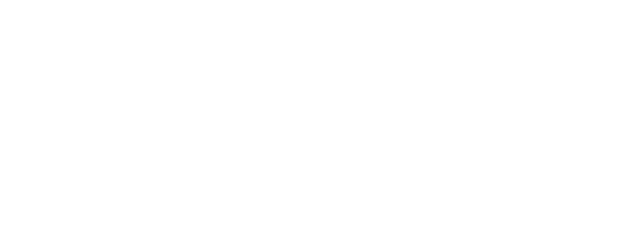 DENIS.V